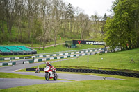 cadwell-no-limits-trackday;cadwell-park;cadwell-park-photographs;cadwell-trackday-photographs;enduro-digital-images;event-digital-images;eventdigitalimages;no-limits-trackdays;peter-wileman-photography;racing-digital-images;trackday-digital-images;trackday-photos